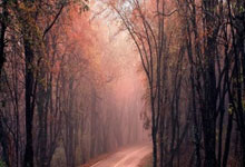 华体会体育：国足对手沙特公布大名单 前首发门将奥韦斯缺席.