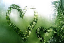 中国国际级裁判员傅明连续第二次受邀执法海湾杯.