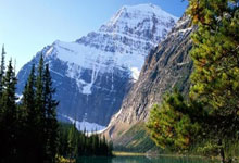 凯文·杜兰特脚踝严重受伤 对阵火箭赛后步履蹒跚返回更衣室.